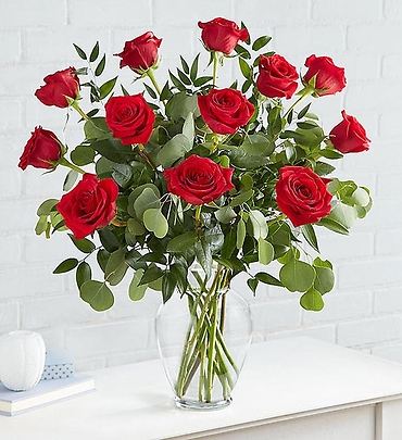 Heart\'s Desire Long Stem