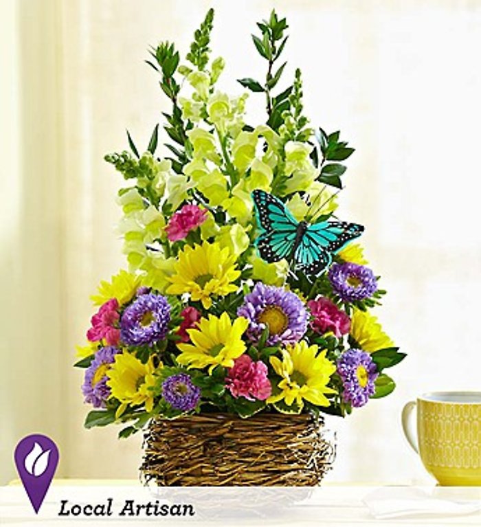 Springtime Bird\'s Nest