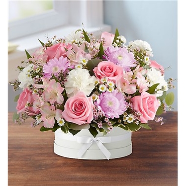 FloraBloom Hatbox