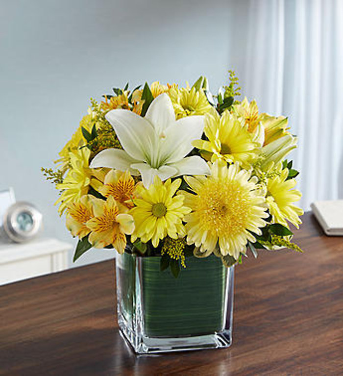 Healing Tears - Yellow & White