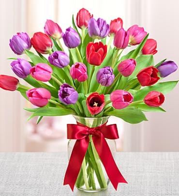 Tulips For Your Valentine