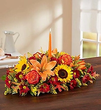 Field of Europe Centerpiece for fall
