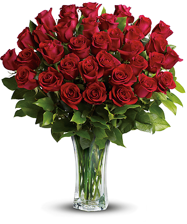 Love and Devotion - 24, 30, 36 Long Stemmed Red Roses