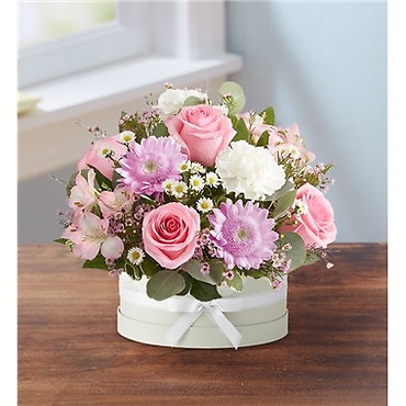 FloraBloom Hatbox