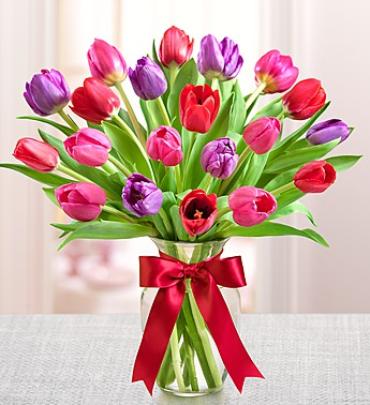 Tulips For Your Valentine