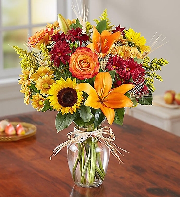 Fields of Europe for Fall