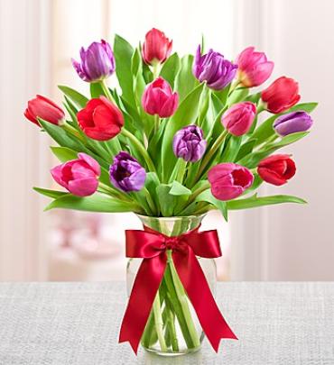 Tulips For Your Valentine