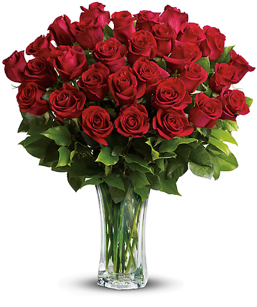 Love and Devotion - 24, 30, 36 Long Stemmed Red Roses