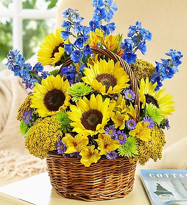 Fields of Europe Summer Basket